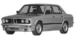 BMW E28 P0A19 Fault Code