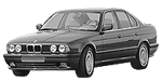 BMW E34 P0A19 Fault Code